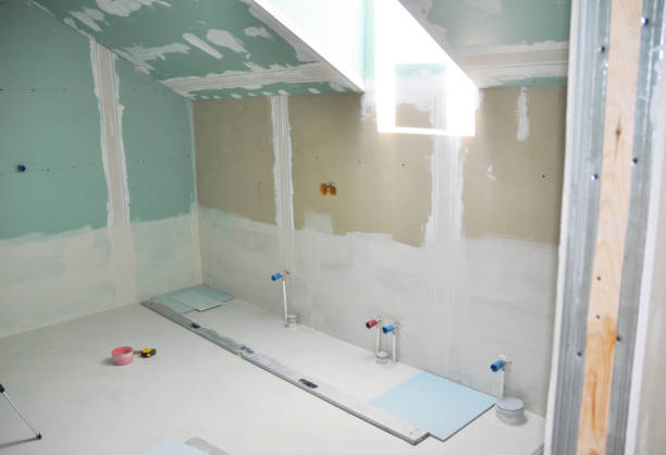 Best Mold Odor Removal Services  in Kenosha, WI