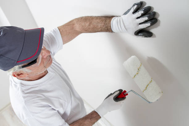 Best Mold Odor Removal Services  in Kenosha, WI