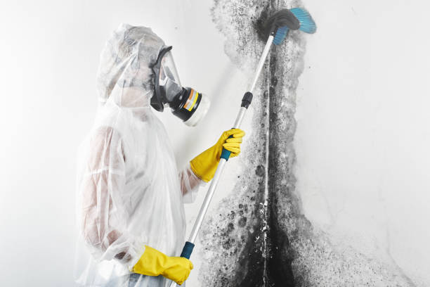 Best Forensic Mold Investigation  in Kenosha, WI