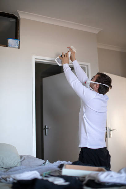  Kenosha, WI Mold Removal Pros