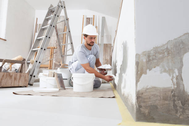 Reliable Kenosha, WI Mold Removal Solutions