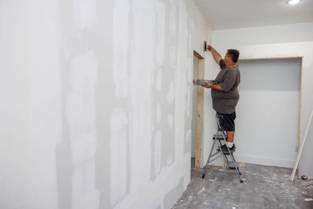 Best Post-Construction Mold Inspection  in Kenosha, WI