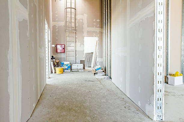 Best Airborne Mold Testing  in Kenosha, WI